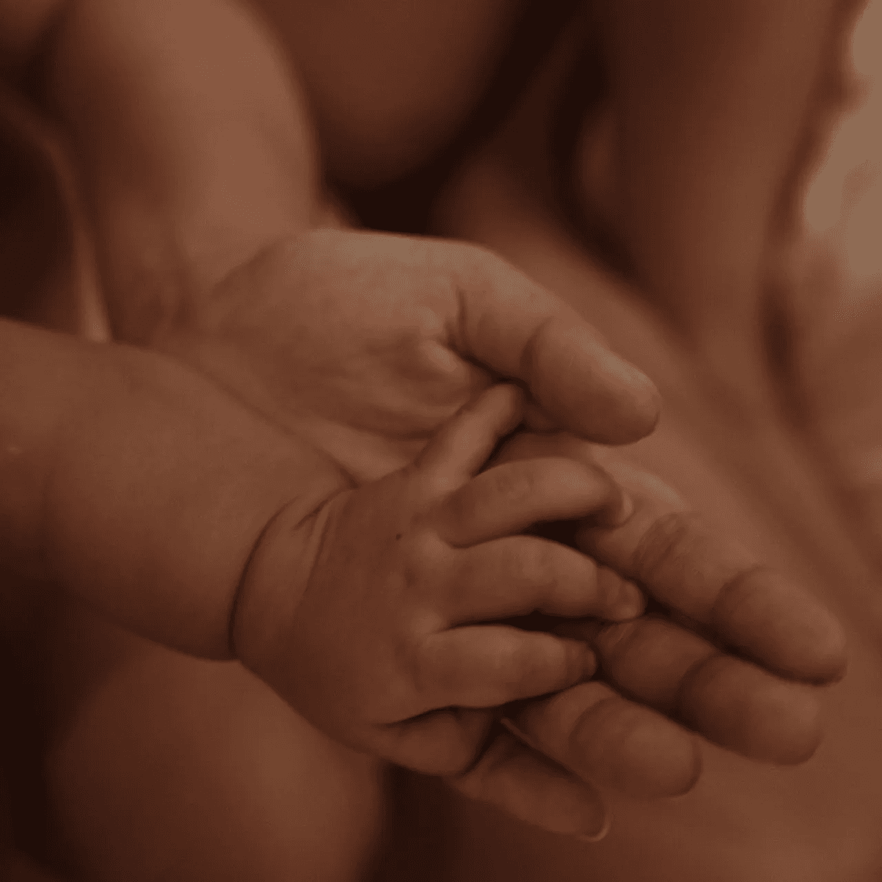 De eerste 1000 dagen